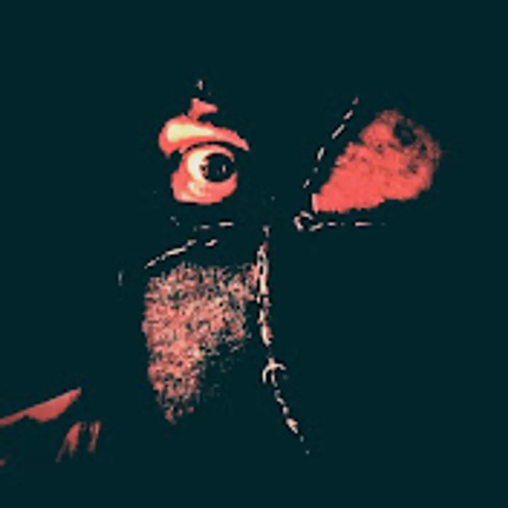 maxsilhouette.bsky.social's profile picture