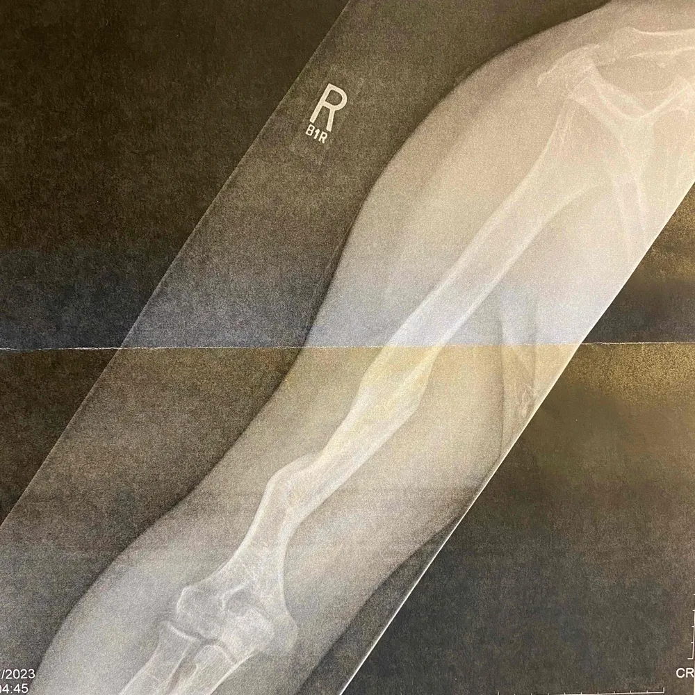 celticwnb.bsky.social's profile picture