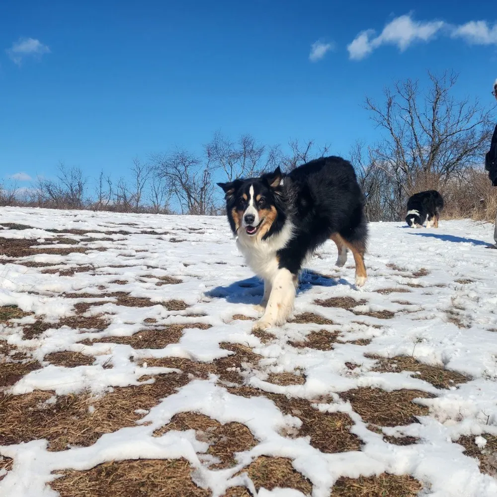 sleeplesscrone.bsky.social's profile picture