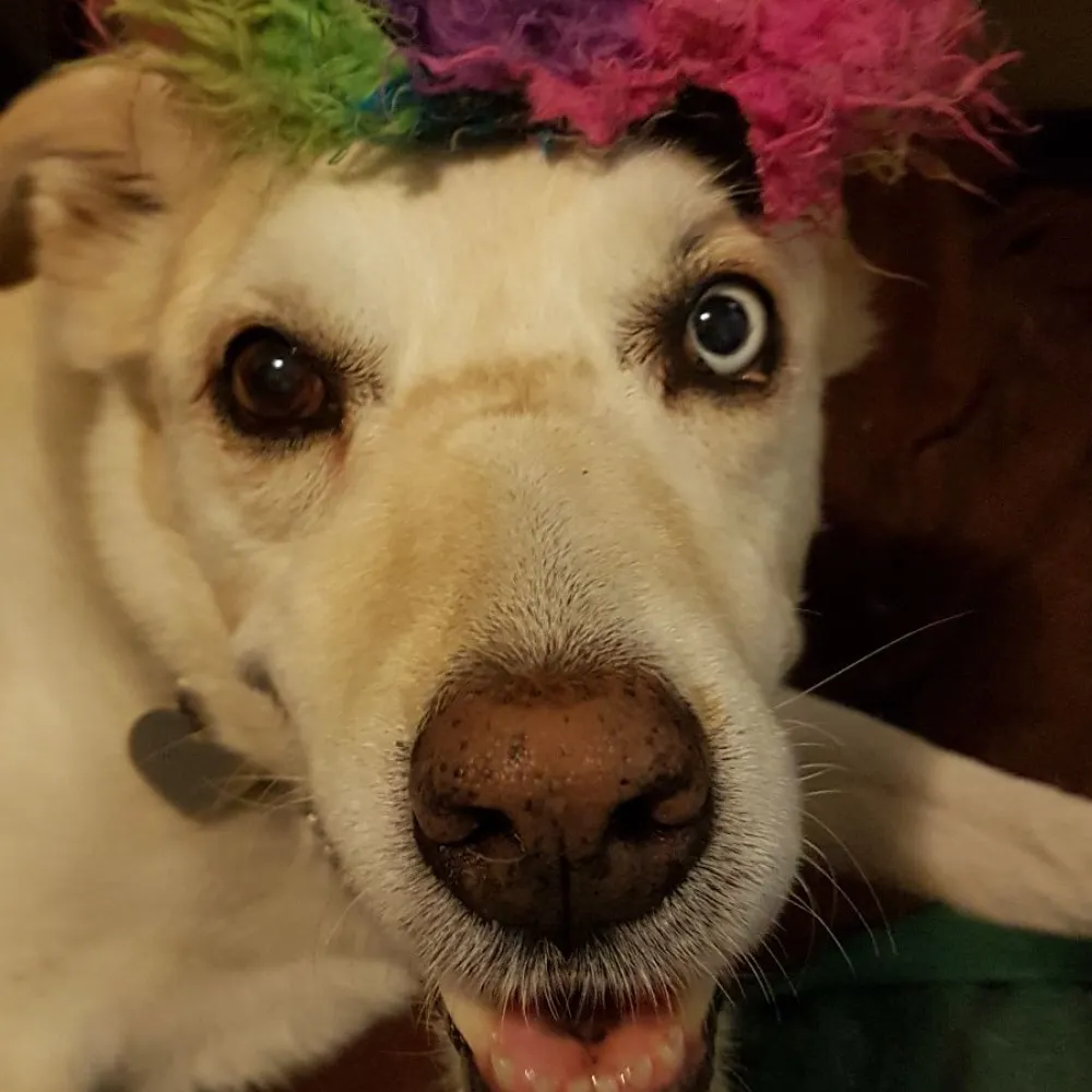 ingridblythe.bsky.social's profile picture