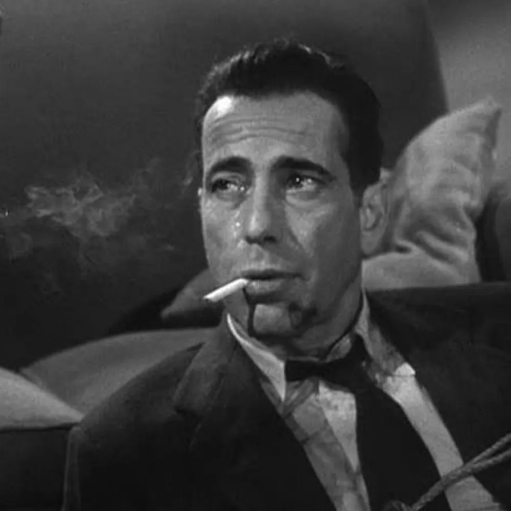 doghousereilly.bsky.social's profile picture