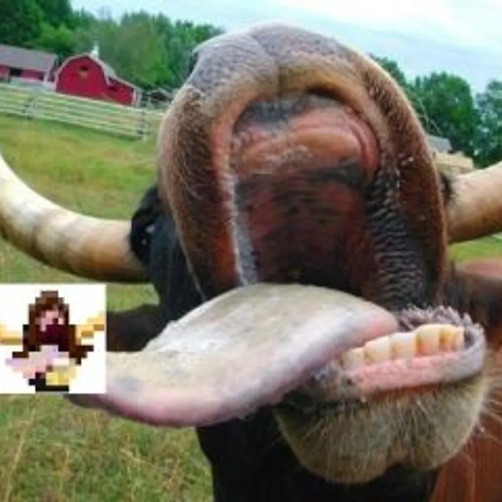 dr-mel.bsky.social's profile picture