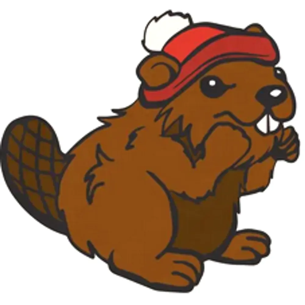 visiblecricket.bsky.social's profile picture