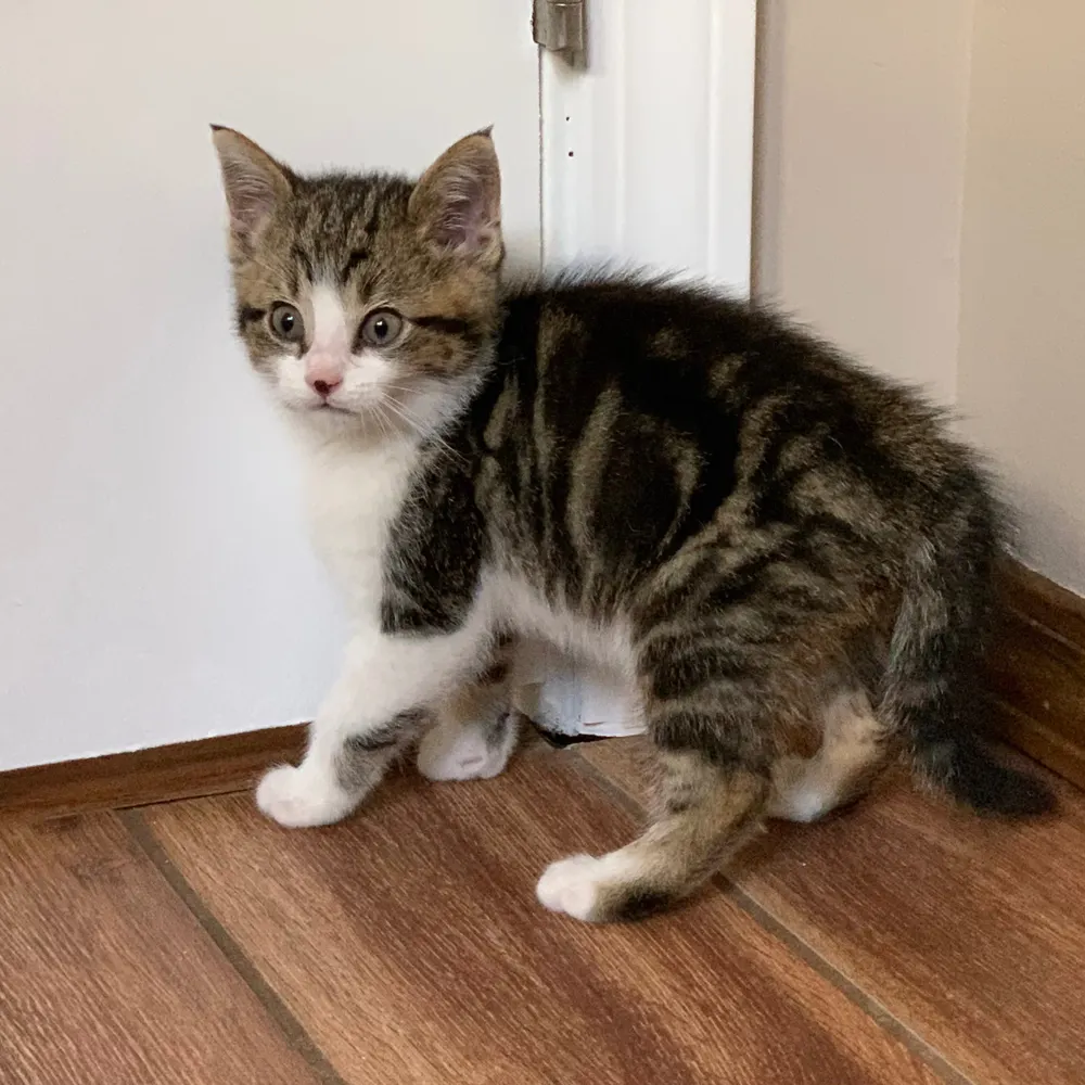 manykarz.bsky.social's profile picture