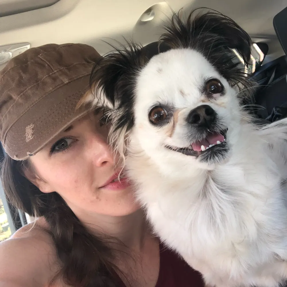 zsaffrynterra.bsky.social's profile picture