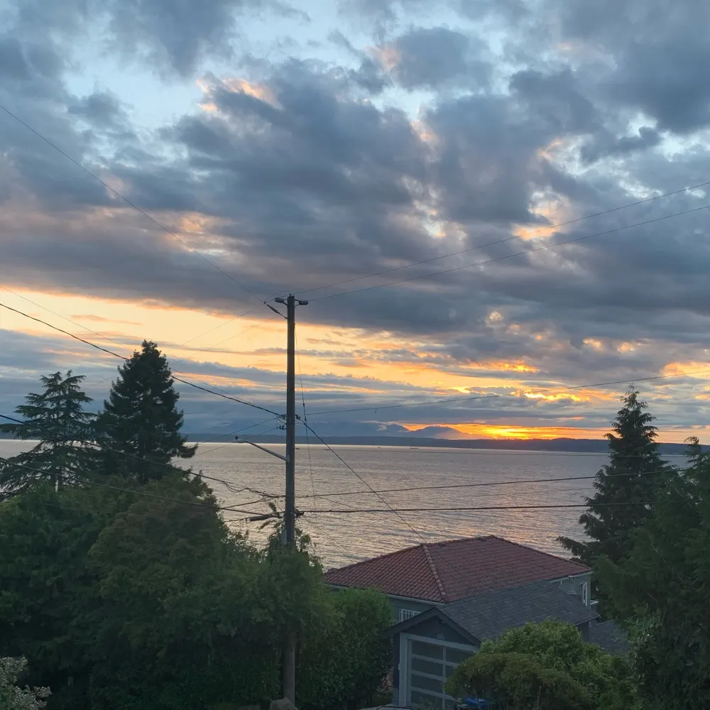 asofel.bsky.social's profile picture