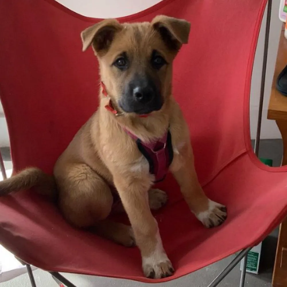 deedeel.bsky.social's profile picture