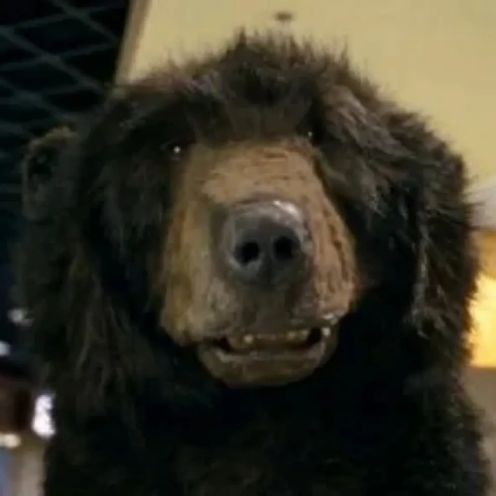 sideofhash.bsky.social's profile picture