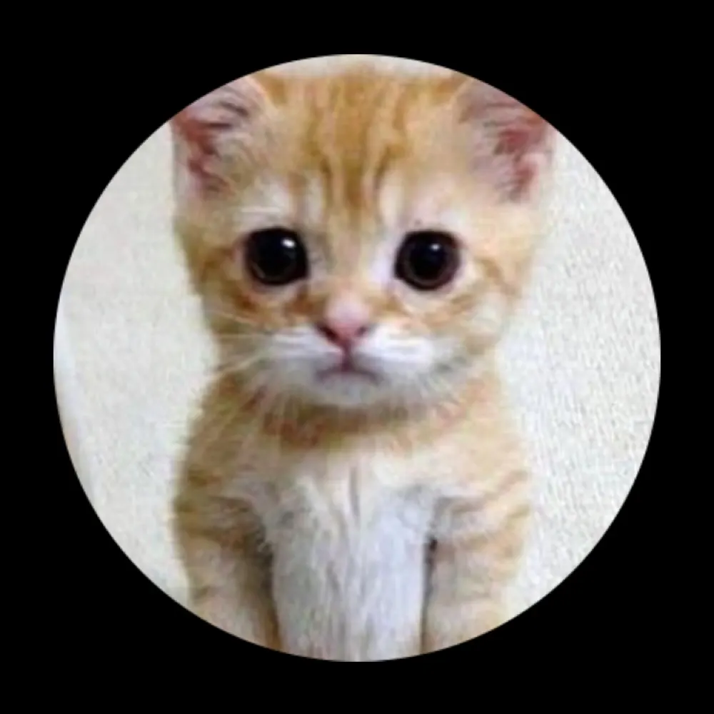 carolinfrauline.bsky.social's profile picture