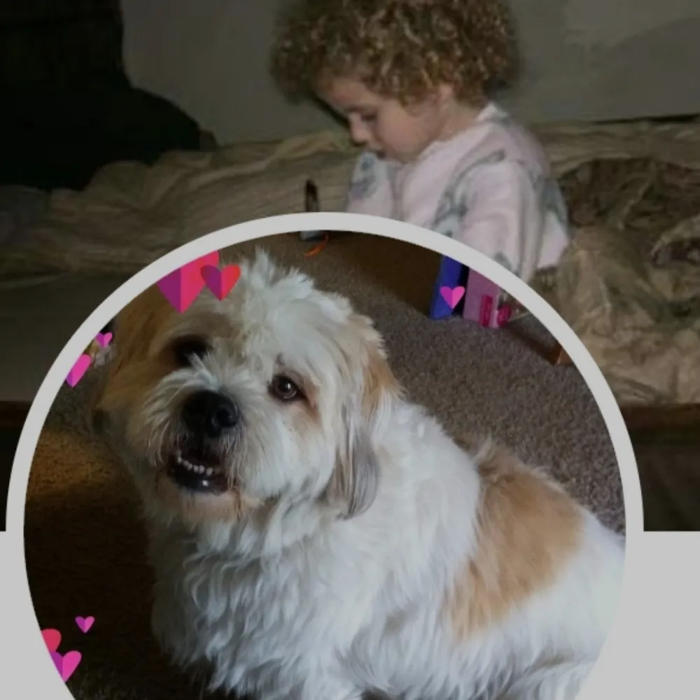 cosmicchameleons.bsky.social's profile picture