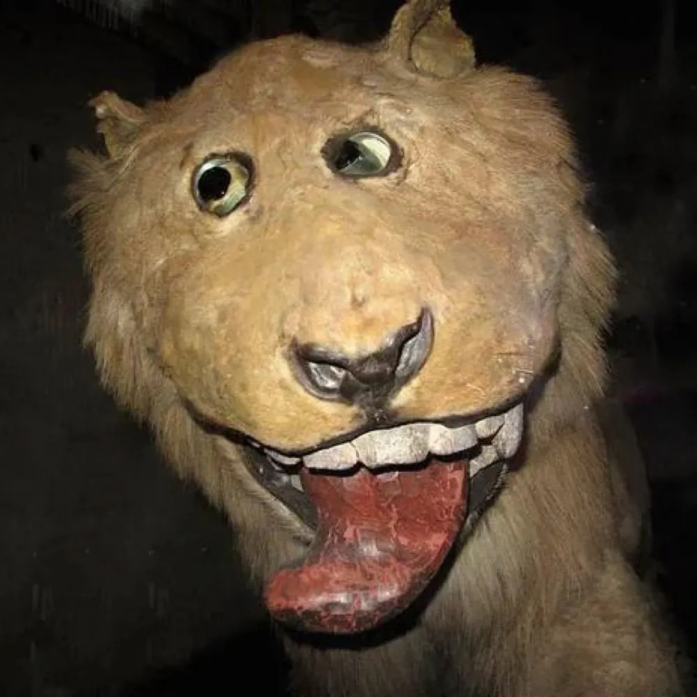 leovongripsholm.bsky.social's profile picture