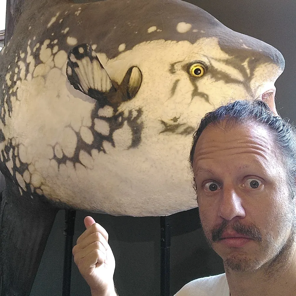 urbanerutopist.bsky.social's profile picture