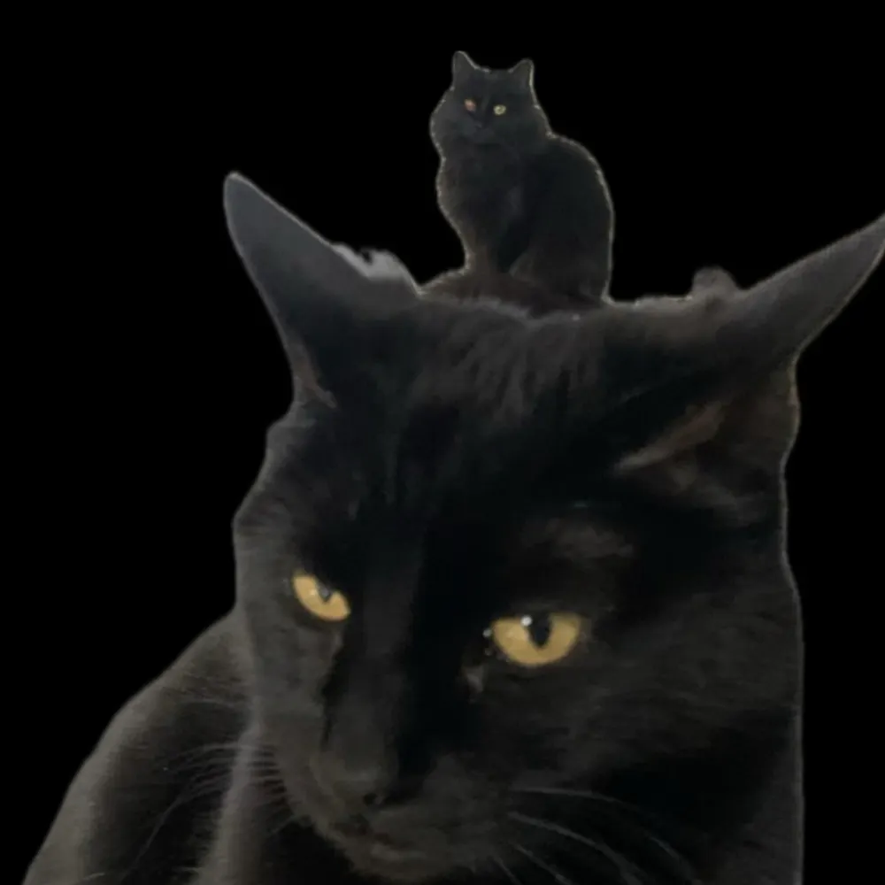 vickithebest.bsky.social's profile picture