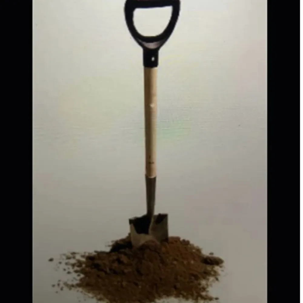 rosebanditquinn.bsky.social's profile picture