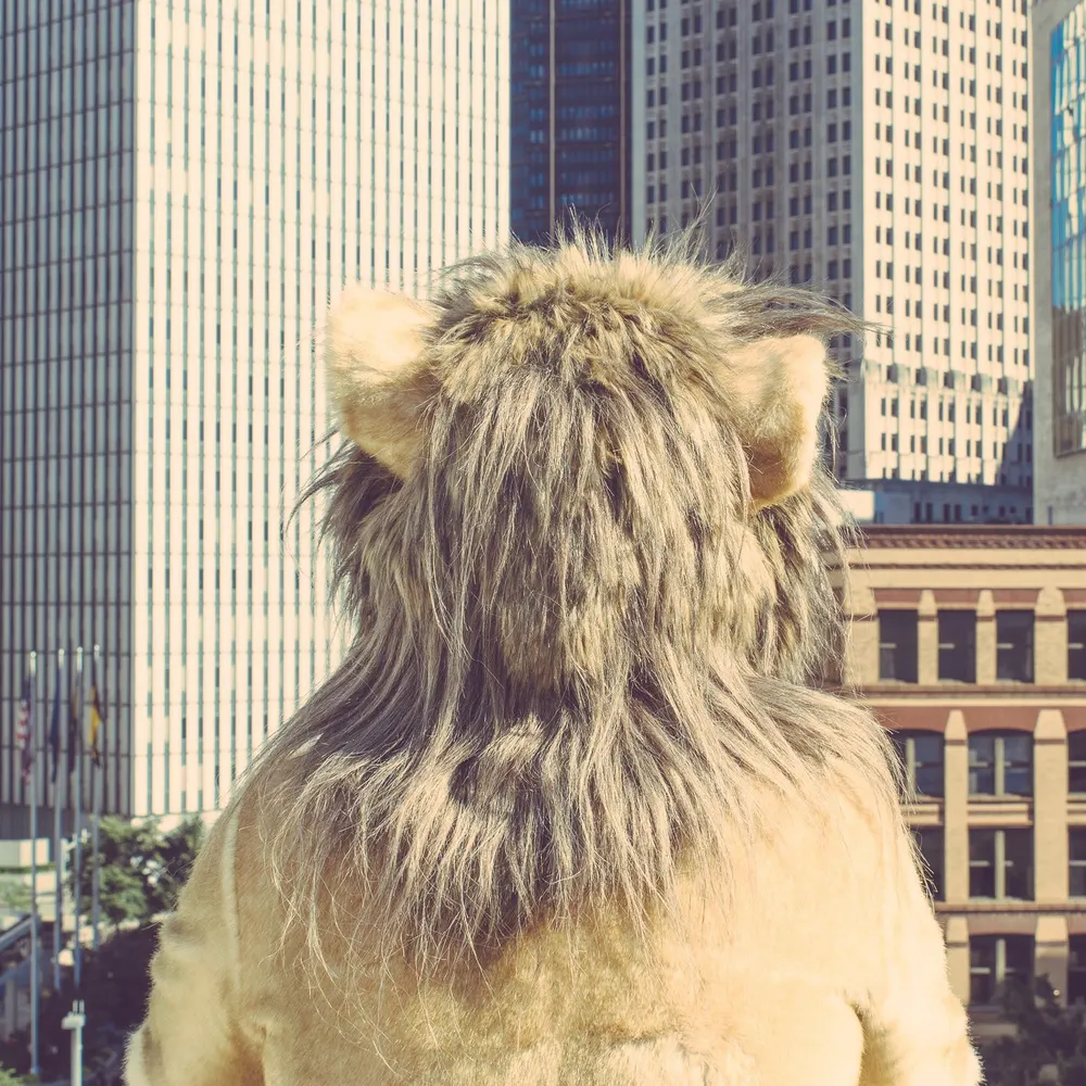 lakotalander.bsky.social's profile picture