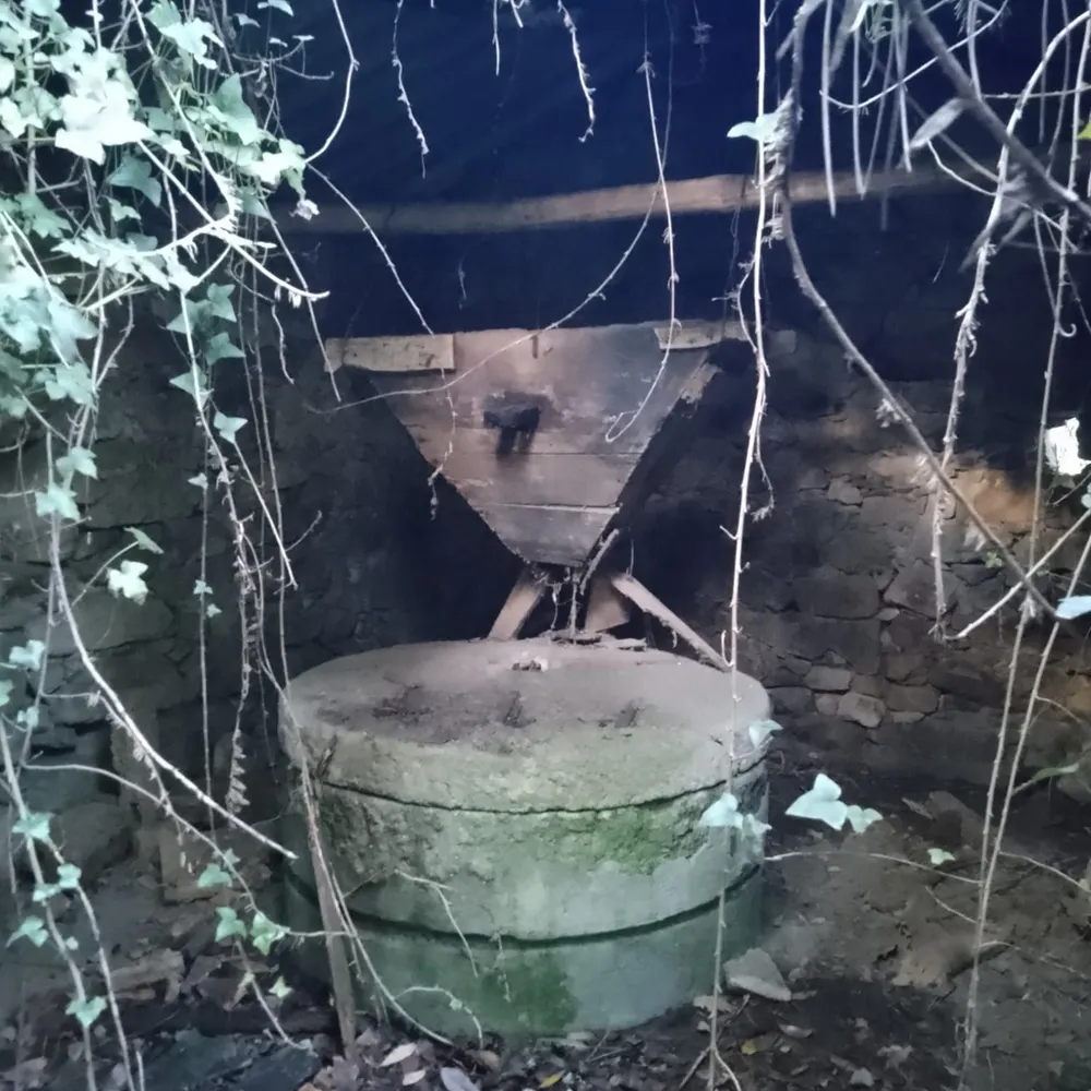 pacokabalo.bsky.social's profile picture