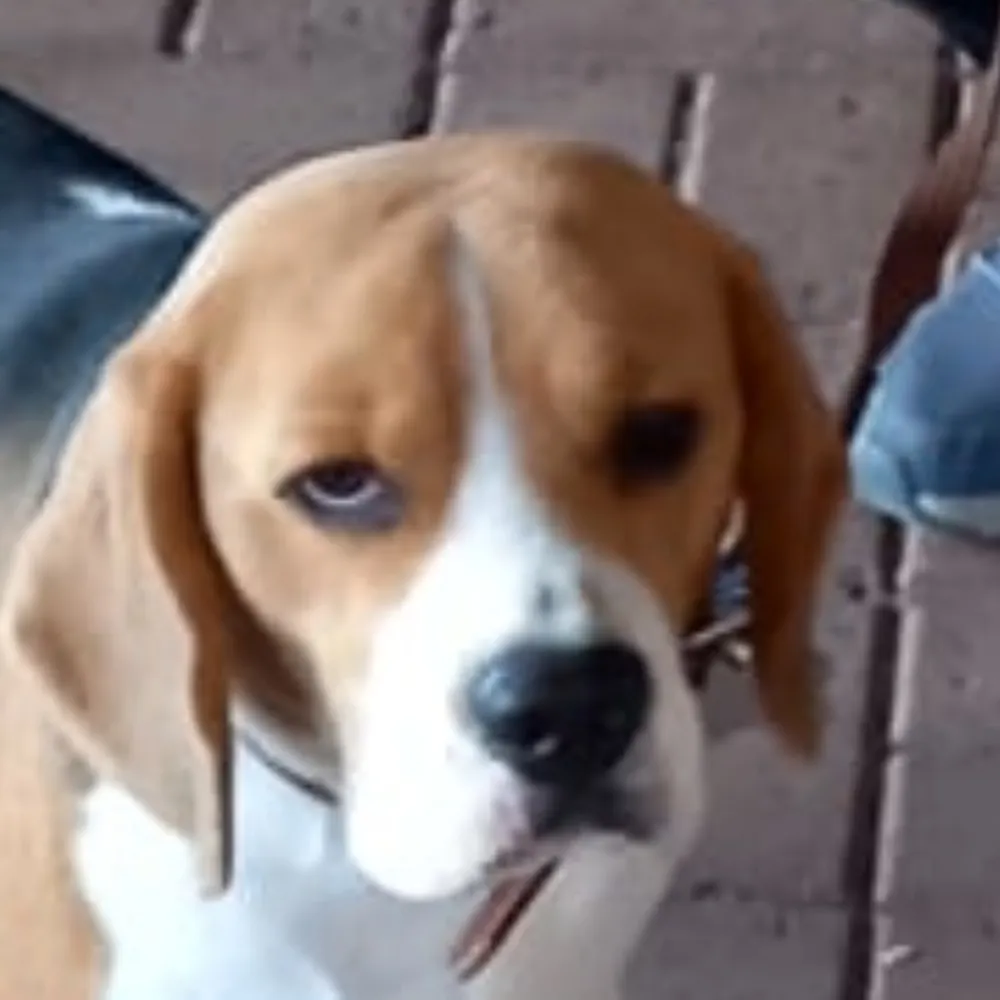 jegriva.bsky.social's profile picture