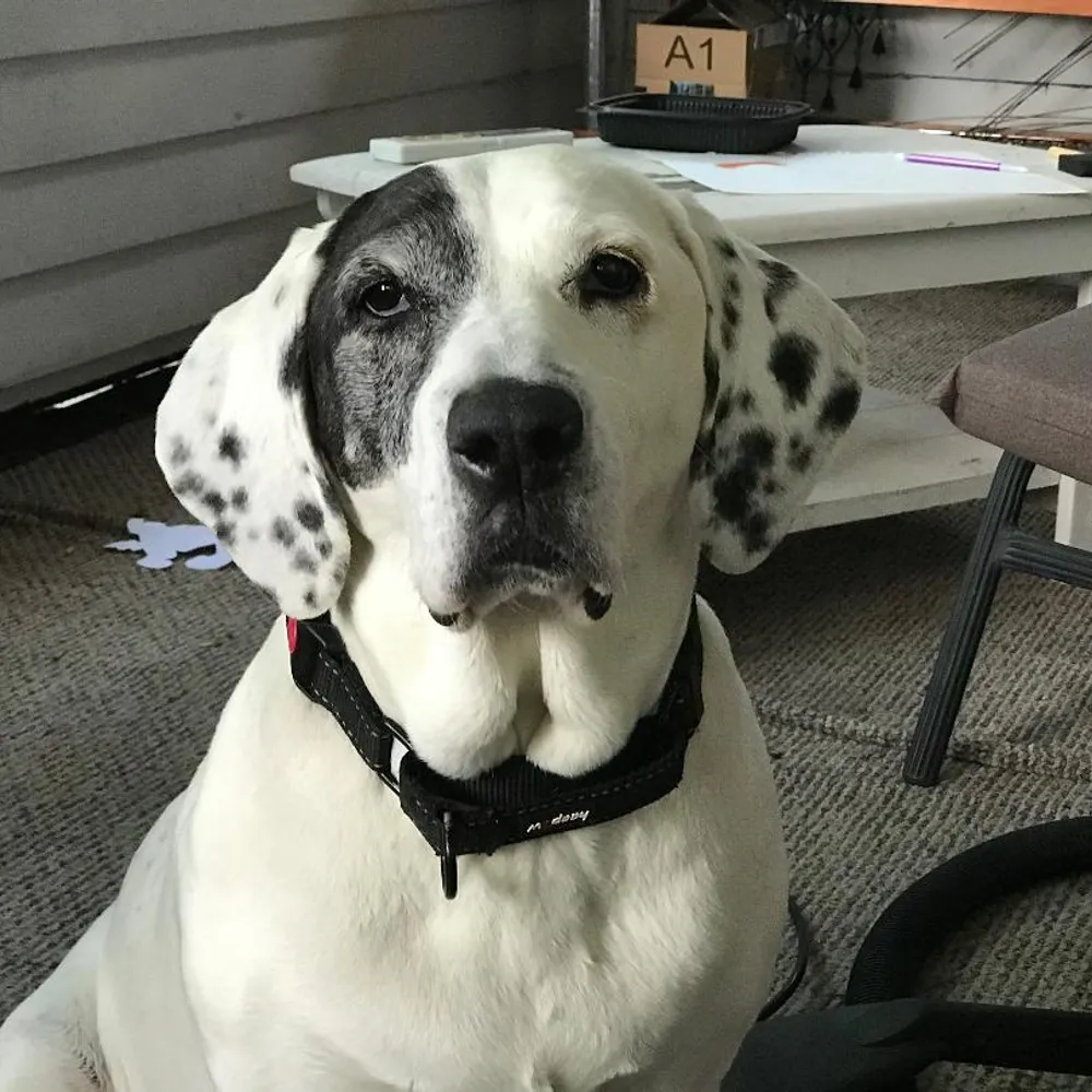 cjs1north.bsky.social's profile picture