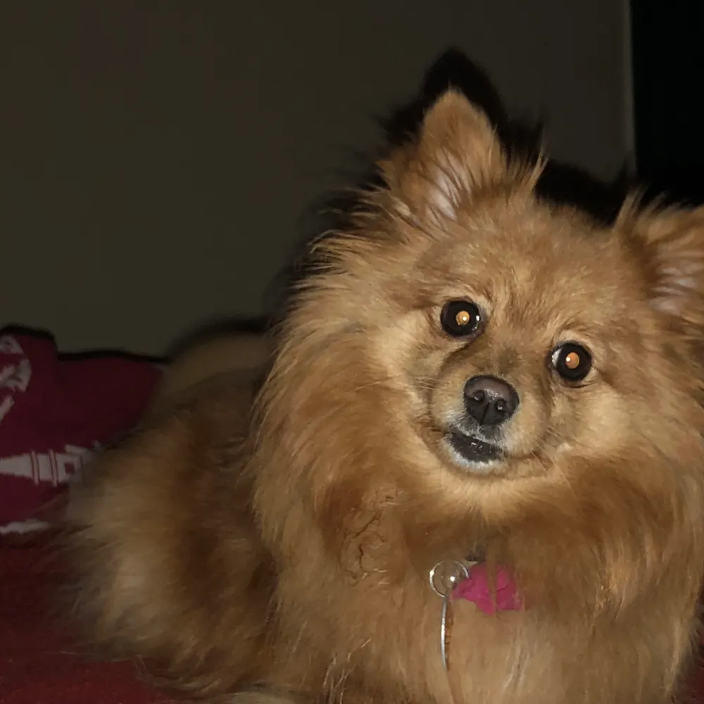 mra1024.bsky.social's profile picture