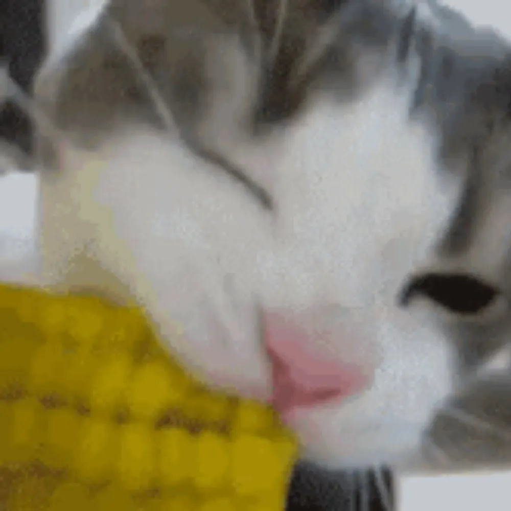 maiz.bsky.social's profile picture