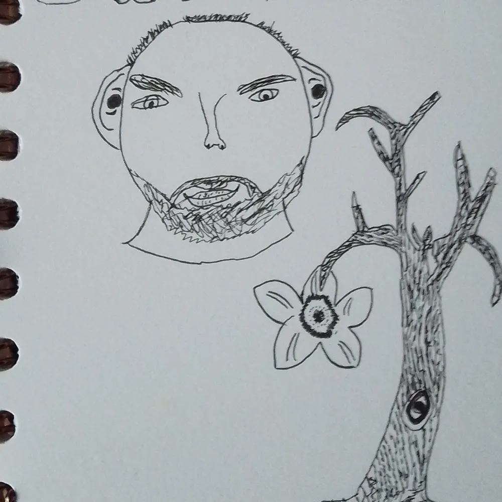 nkbtn.bsky.social's profile picture