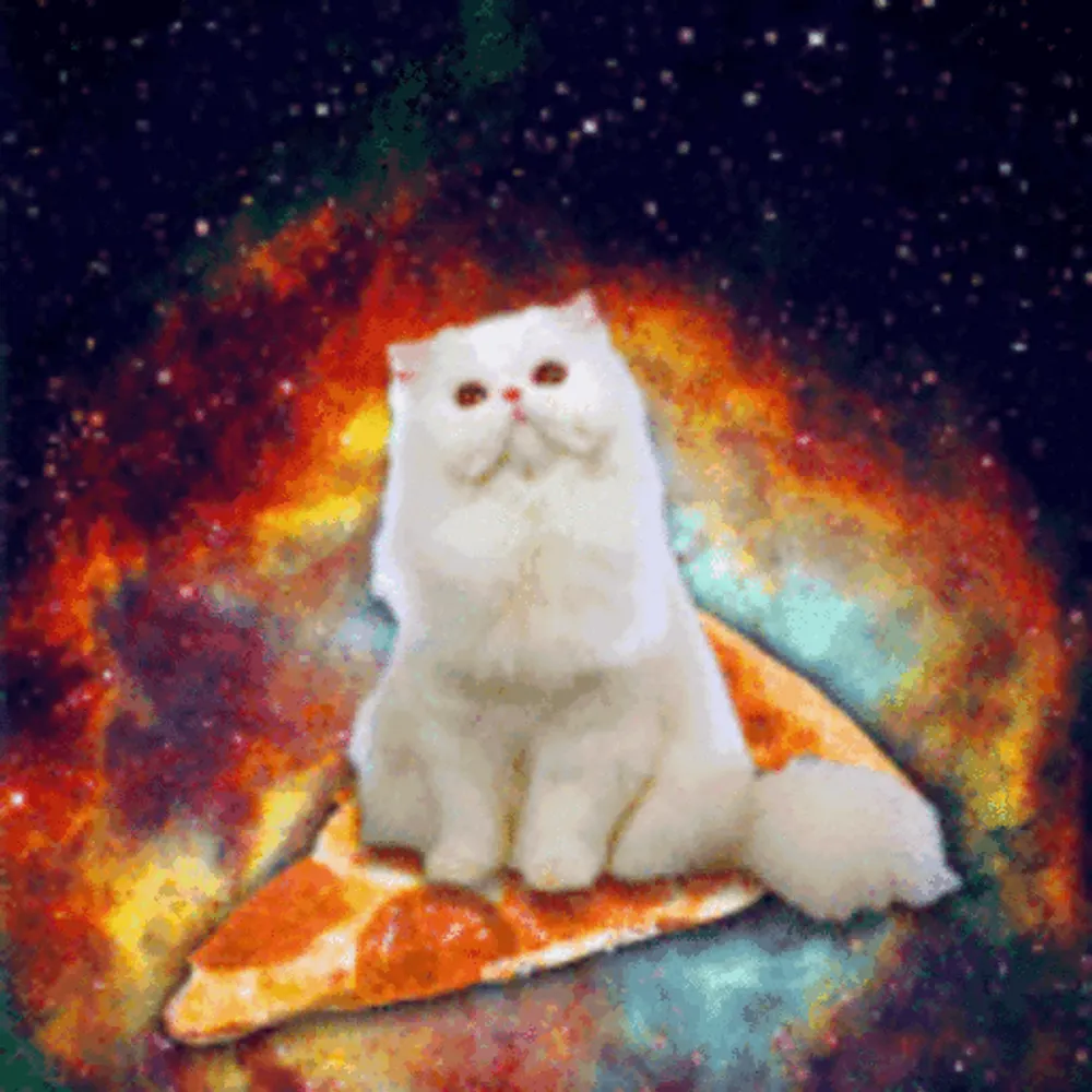 devdull.lol's profile picture