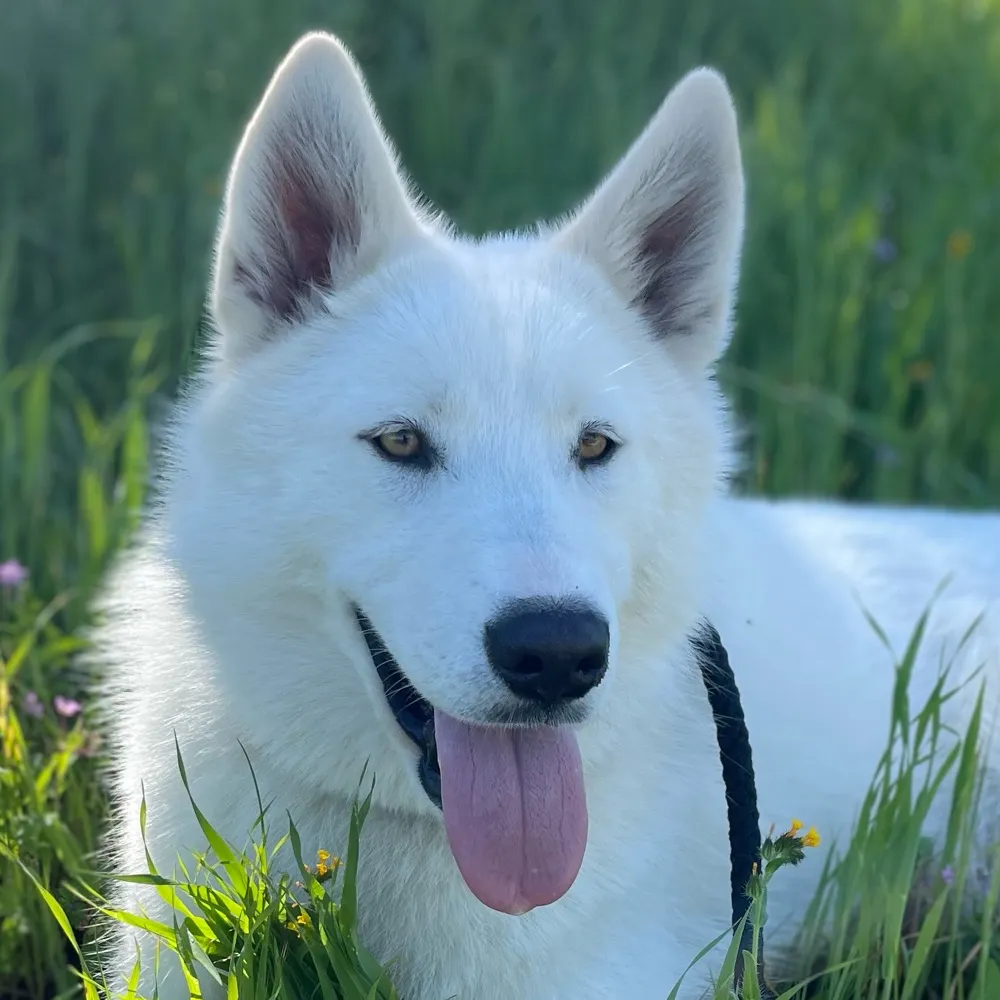 daydream63.bsky.social's profile picture