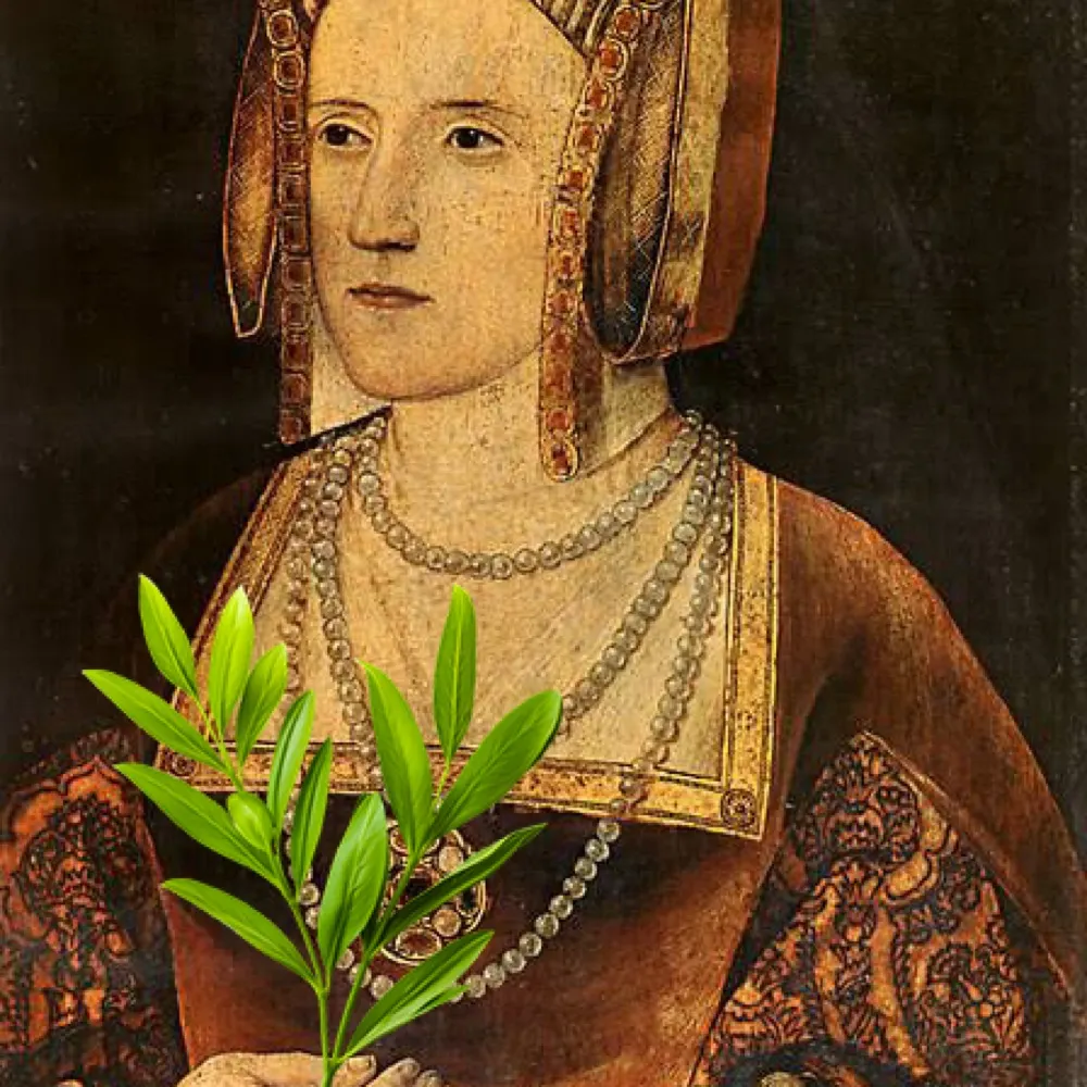 kathoftarragon.bsky.social's profile picture