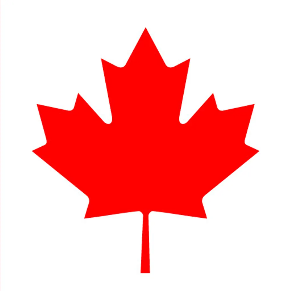 thisismyquest.bsky.social's profile picture