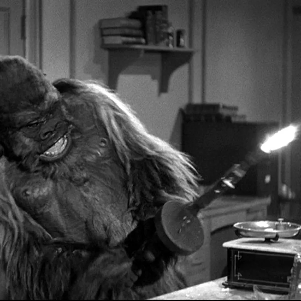 pulseoftheape.bsky.social's profile picture