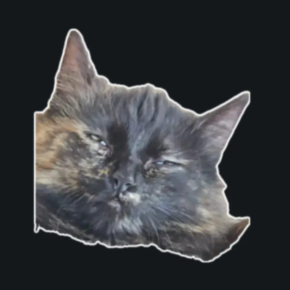 ginger-ninja8525.bsky.social's profile picture