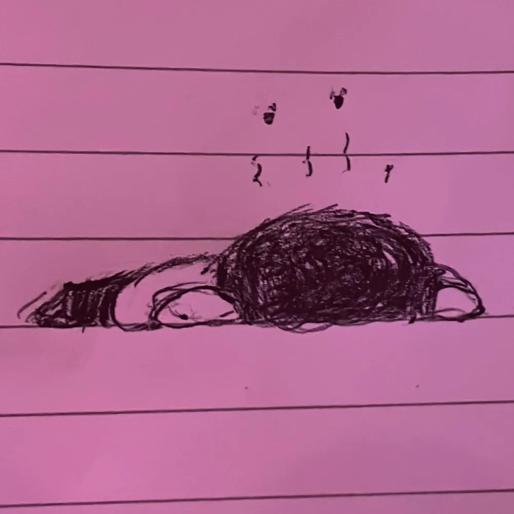 whatthecheick.bsky.social's profile picture