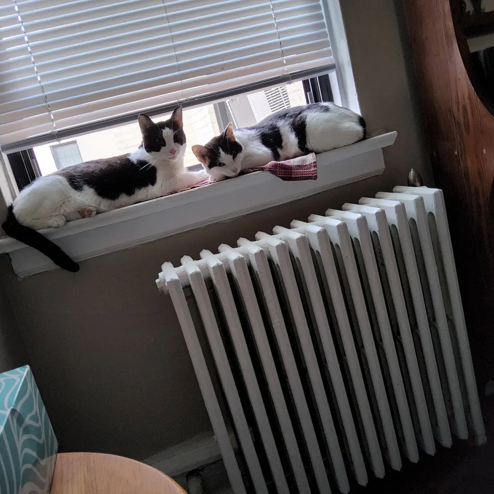 u2girl1966.bsky.social's profile picture