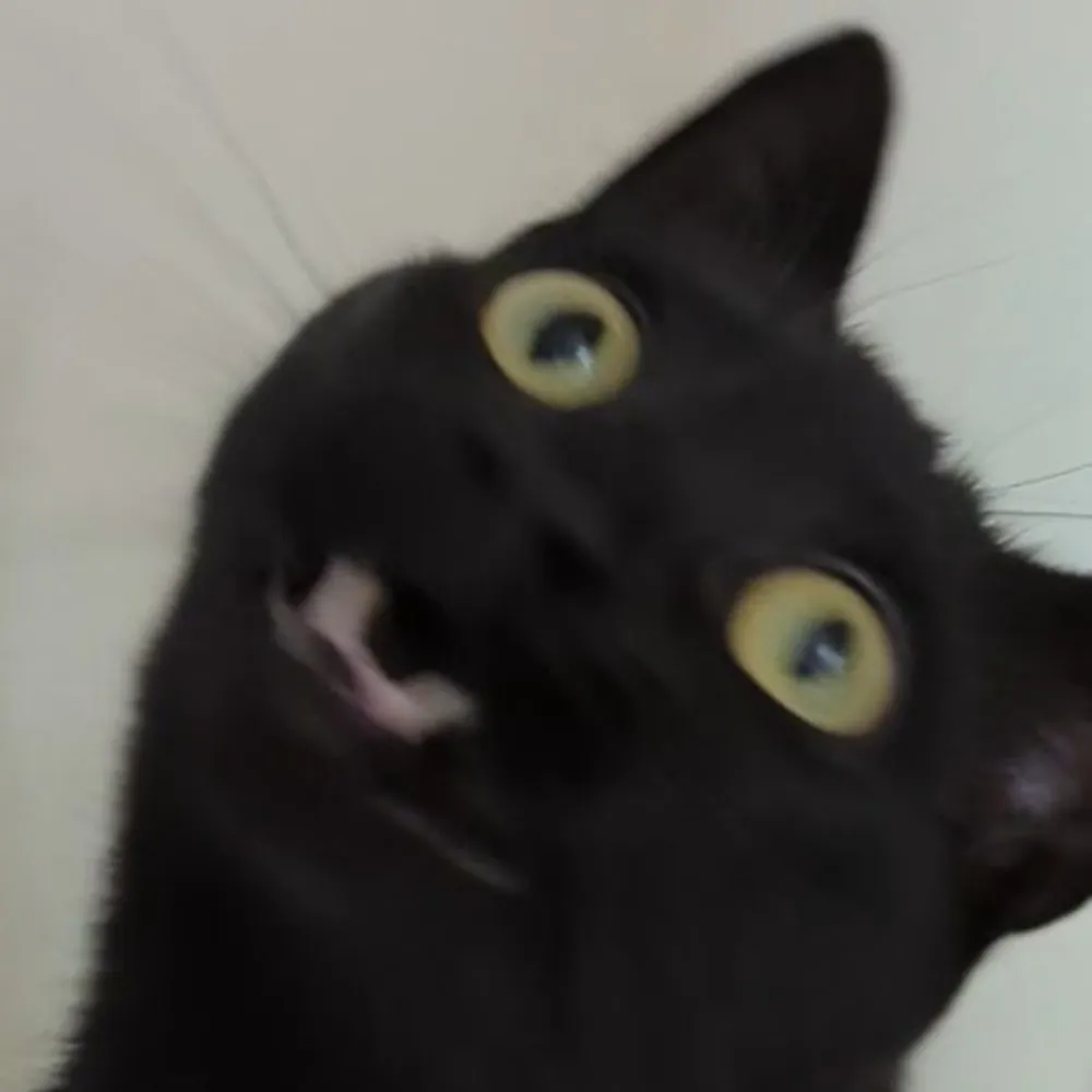 bennygesserit.bsky.social's profile picture