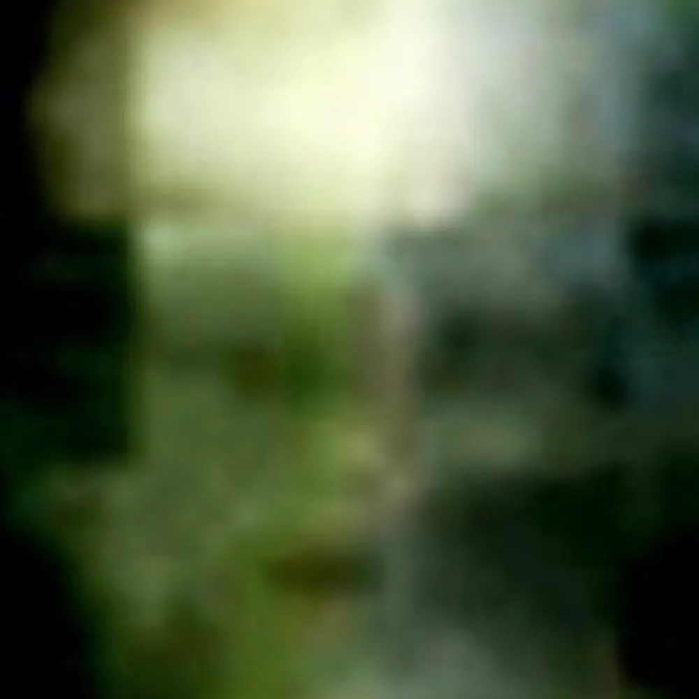 jpeg40k.bsky.social's profile picture