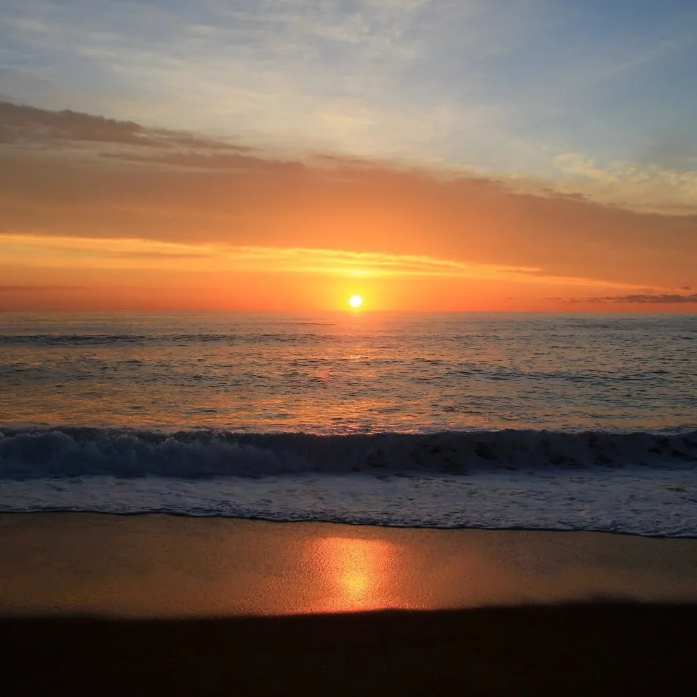 db-524.bsky.social's profile picture