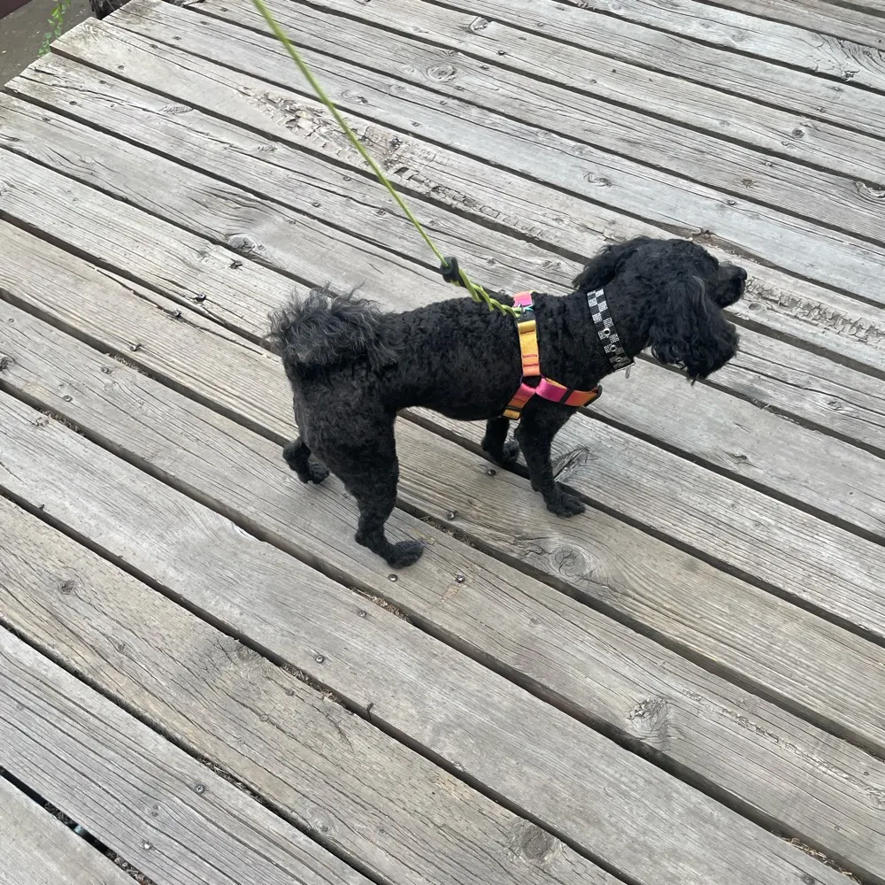 joannerochester.bsky.social's profile picture