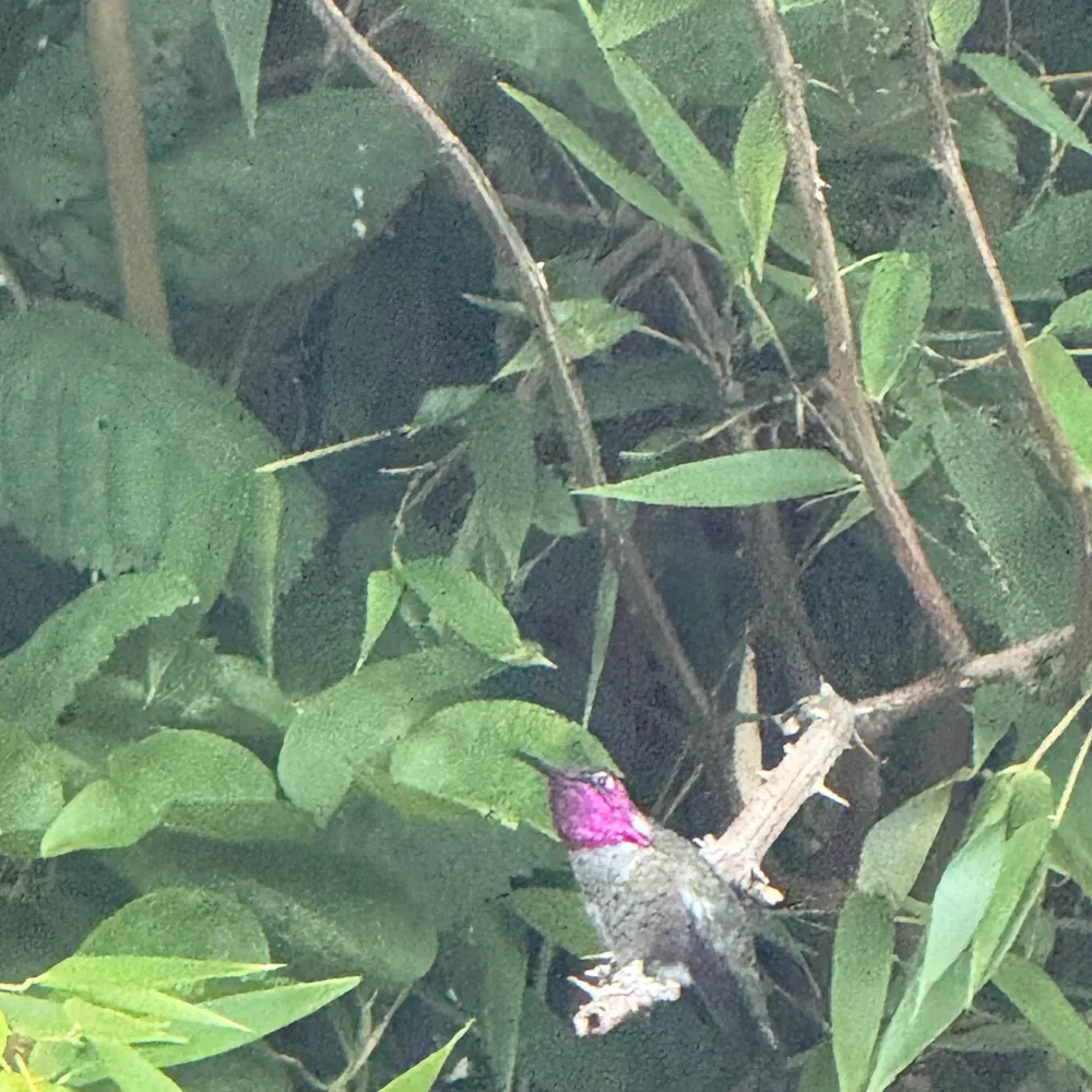 justmemd3.bsky.social's profile picture