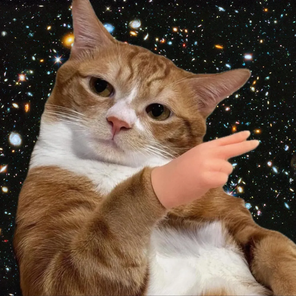 clearspies.bsky.social's profile picture