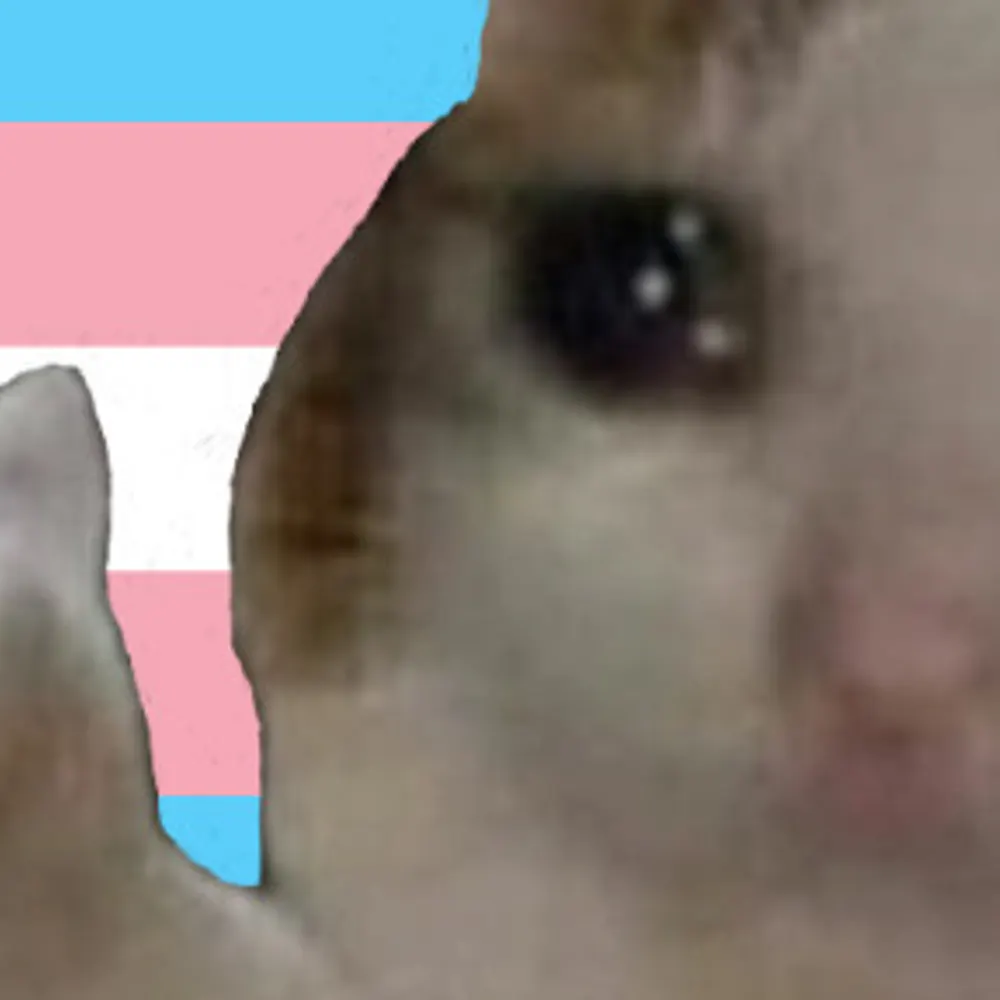 bikeplanets.bsky.social's profile picture