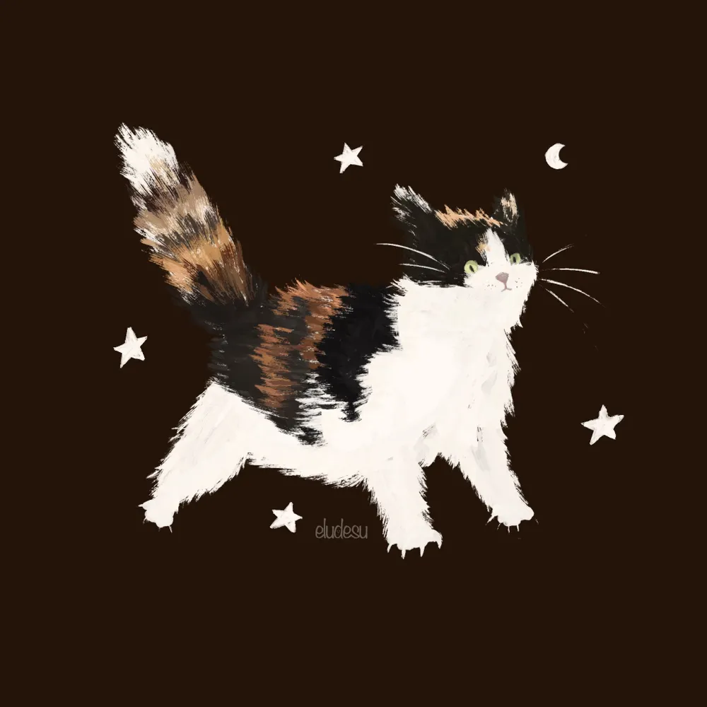 eludesu.bsky.social's profile picture