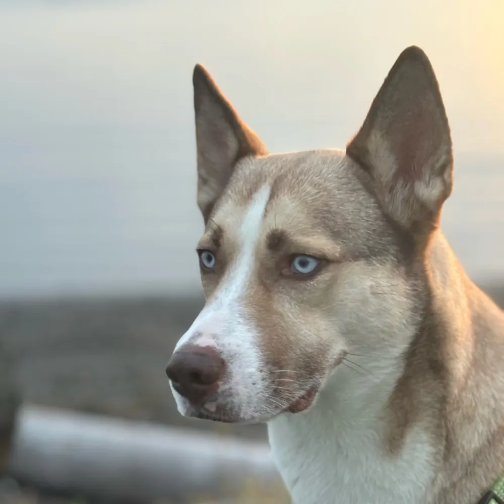 sehomesal.bsky.social's profile picture