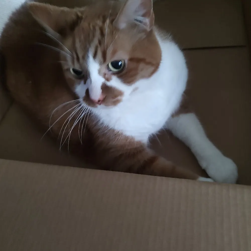 marianherra.bsky.social's profile picture