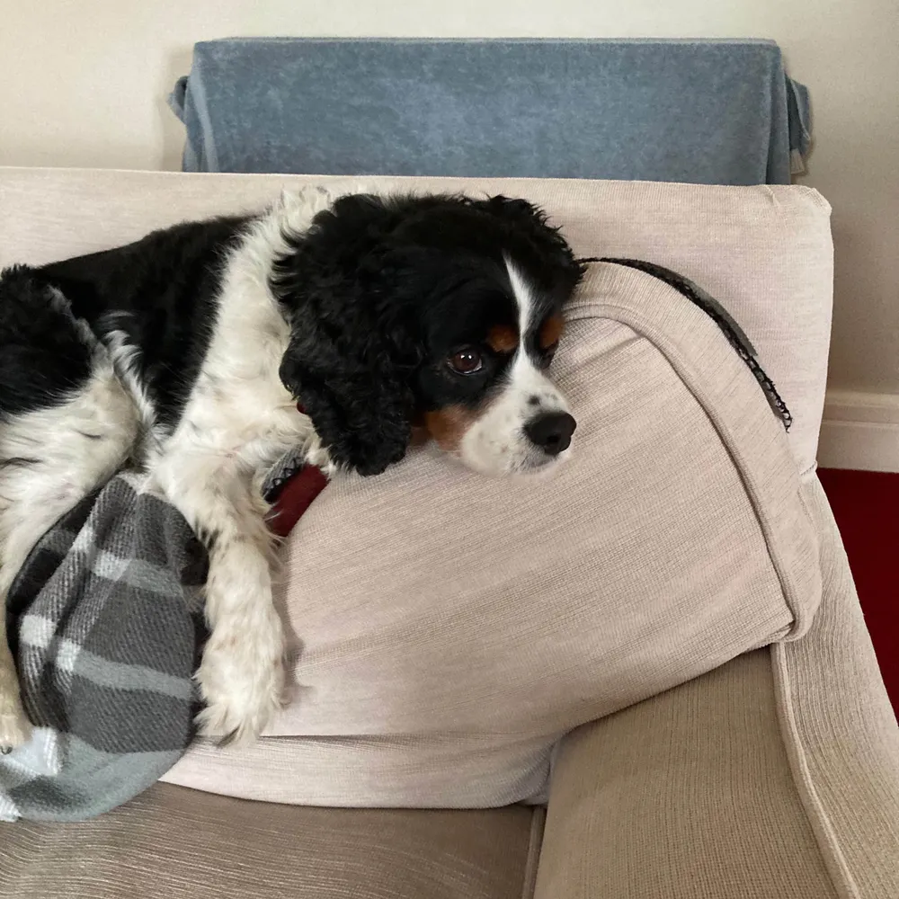 floatinginwaves.bsky.social's profile picture