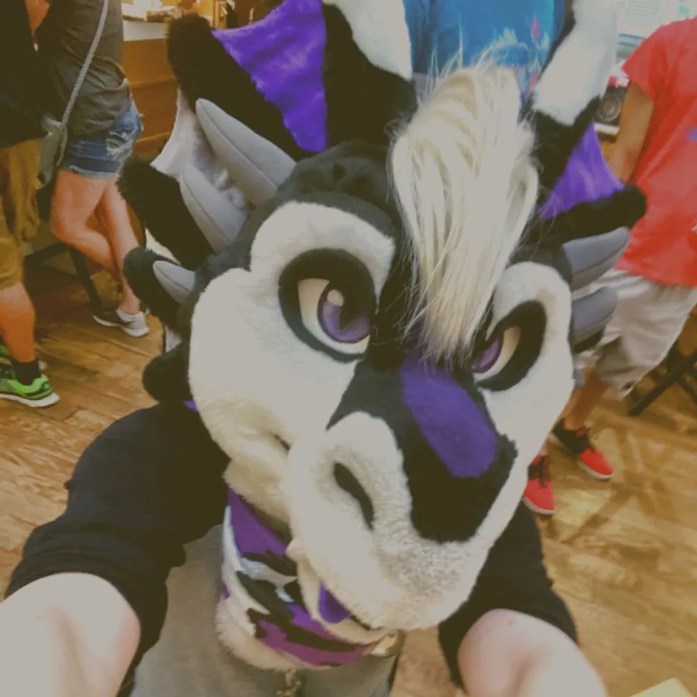 kudoz.bsky.social's profile picture