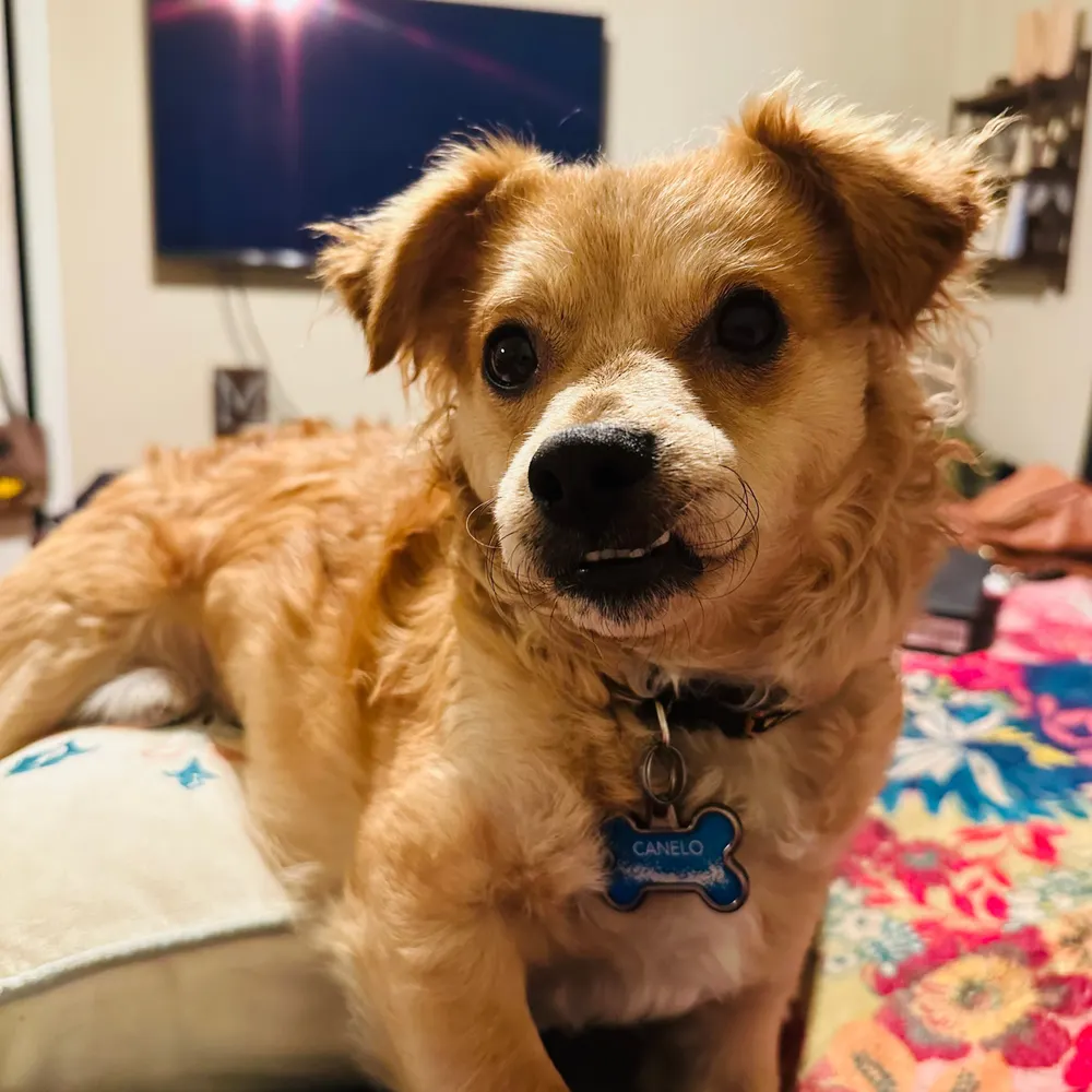 mollyknight.bsky.social's profile picture