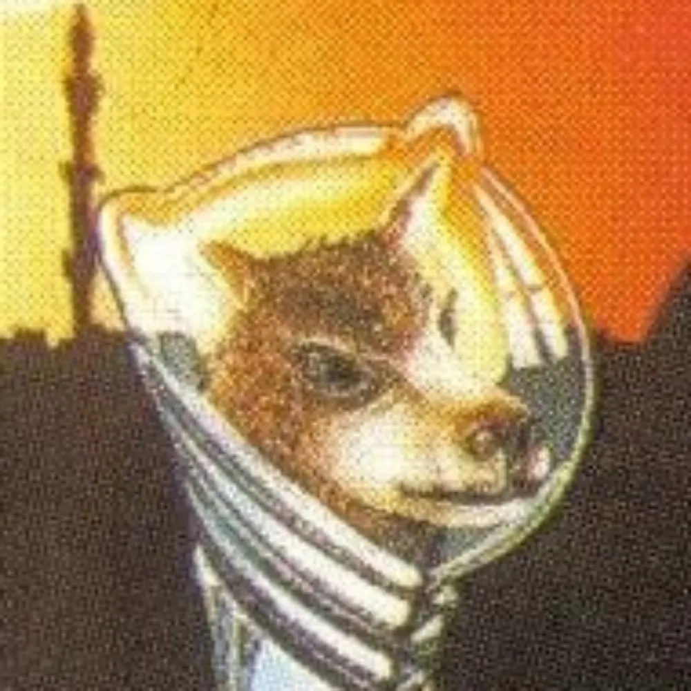 learninglaser.bsky.social's profile picture