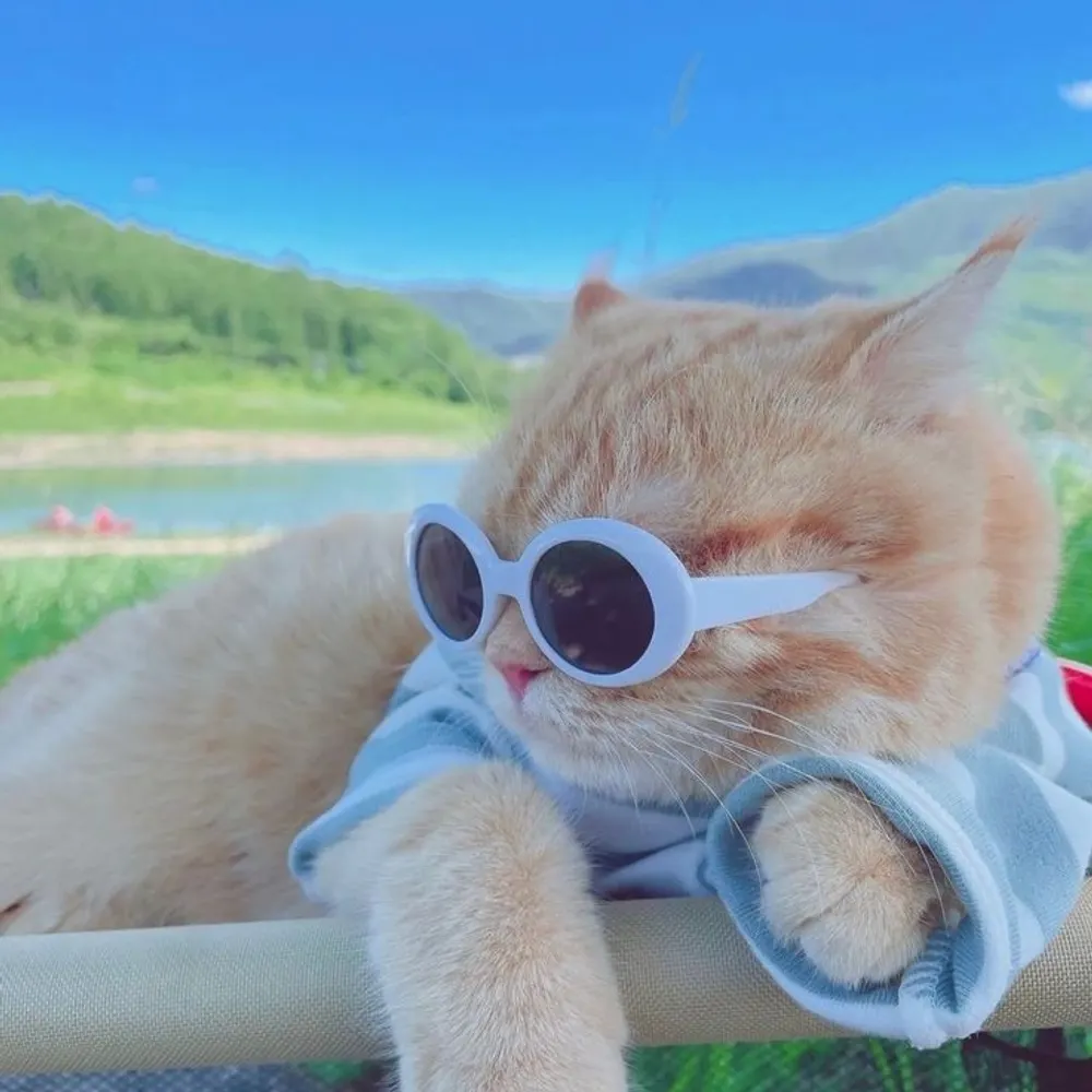 fluffyfl0.bsky.social's profile picture