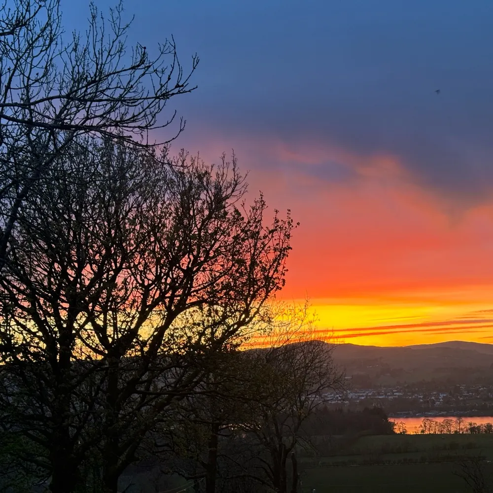 marbelle.bsky.social's profile picture