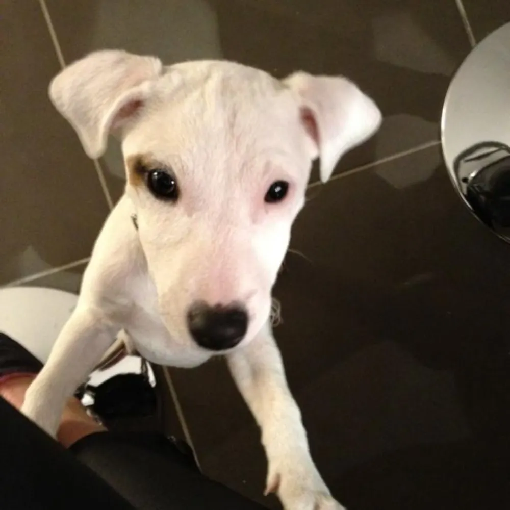 notanotherlawyer.bsky.social's profile picture